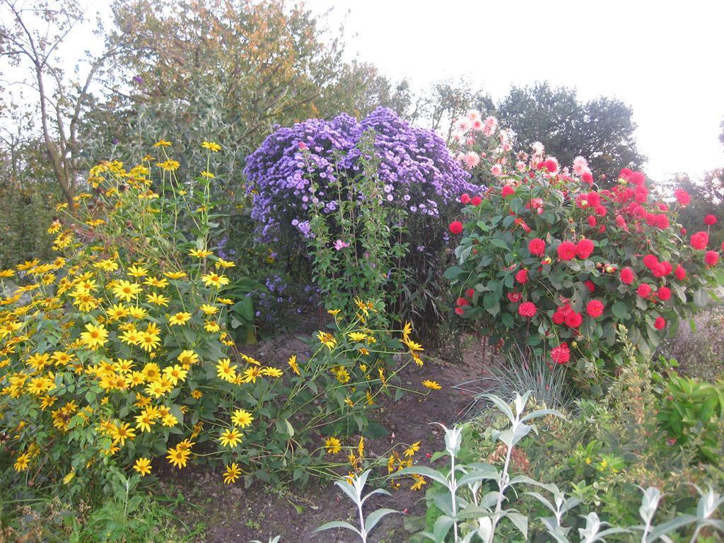 Urlaubsdomizil im Grünen Westerstede Exterior foto