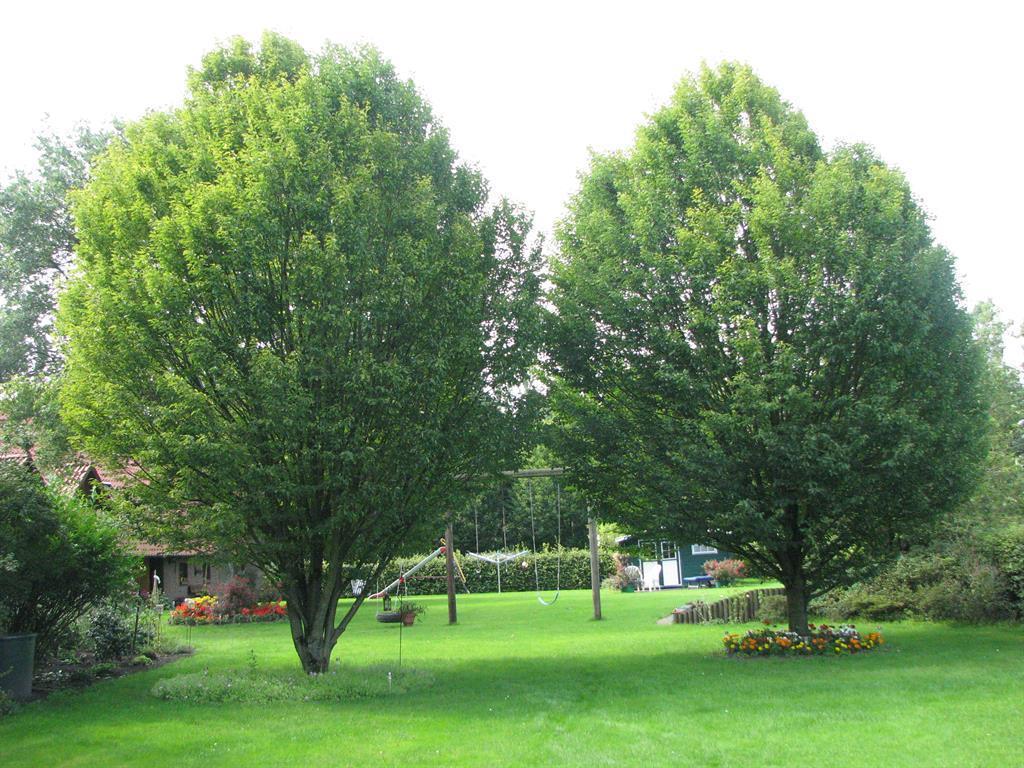 Urlaubsdomizil im Grünen Westerstede Exterior foto