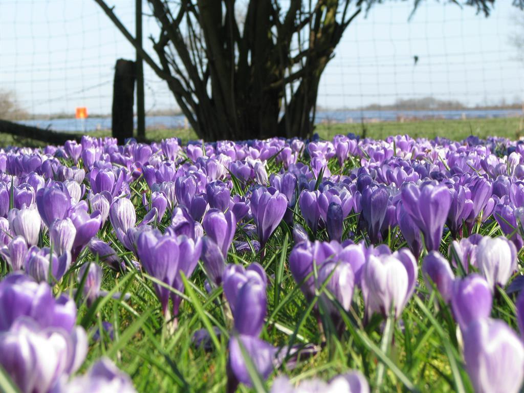 Urlaubsdomizil im Grünen Westerstede Exterior foto