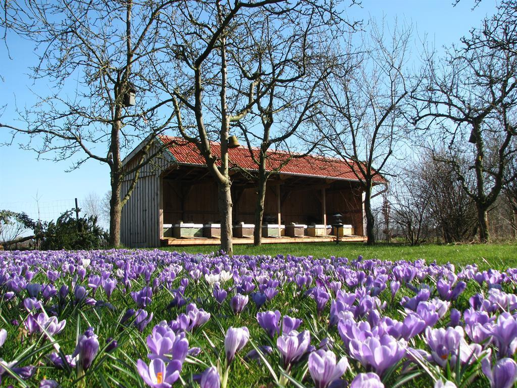 Urlaubsdomizil im Grünen Westerstede Exterior foto